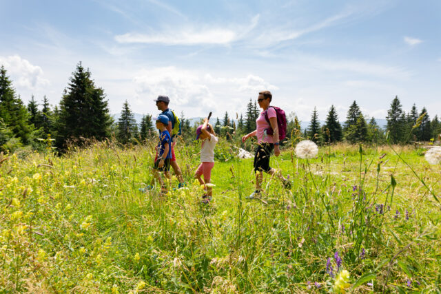 Promenades douces dans le Jura