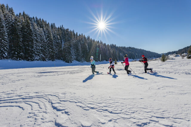 Balade en raquettes dans le Jura