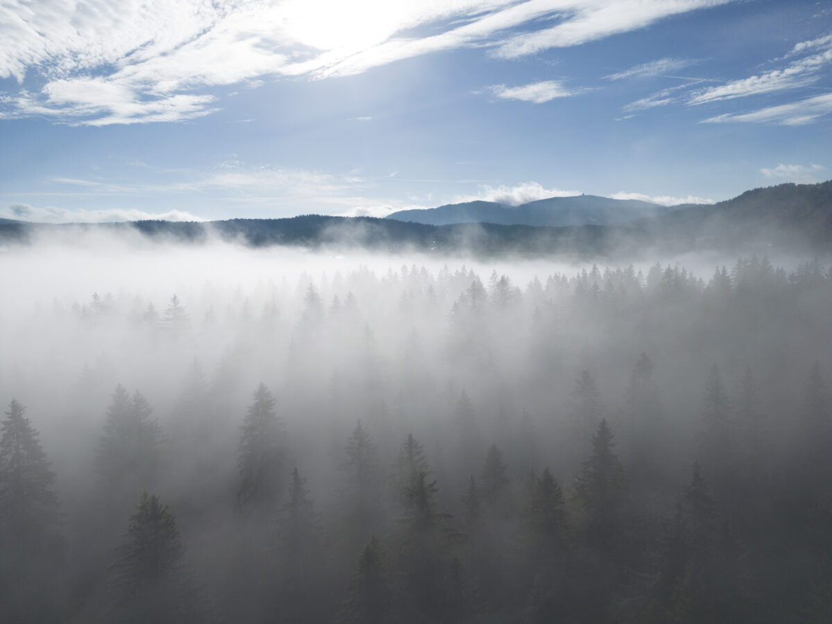 Les montagnes du Jura dans le territoire du Parc Naturel