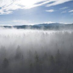 Les montagnes du Jura dans le territoire du Parc Naturel