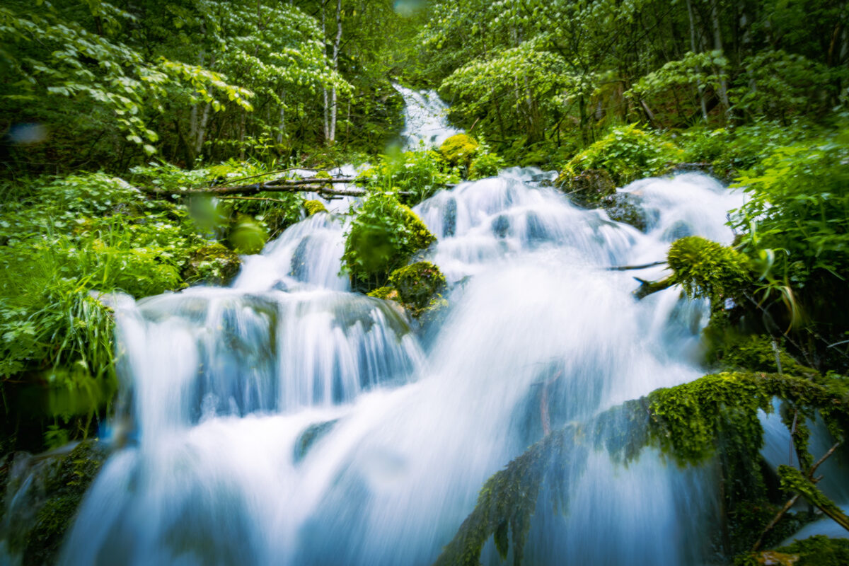 Les 4 saisons dans le jura