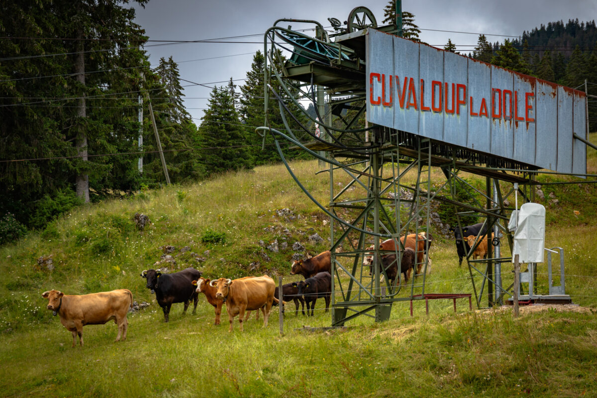 Les randonnées dans le Jura