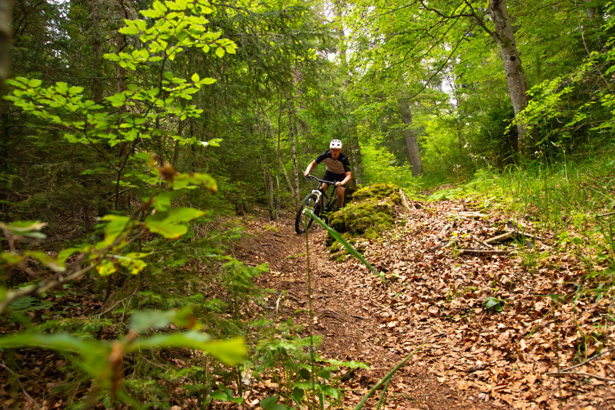 Vélo dans le Jura