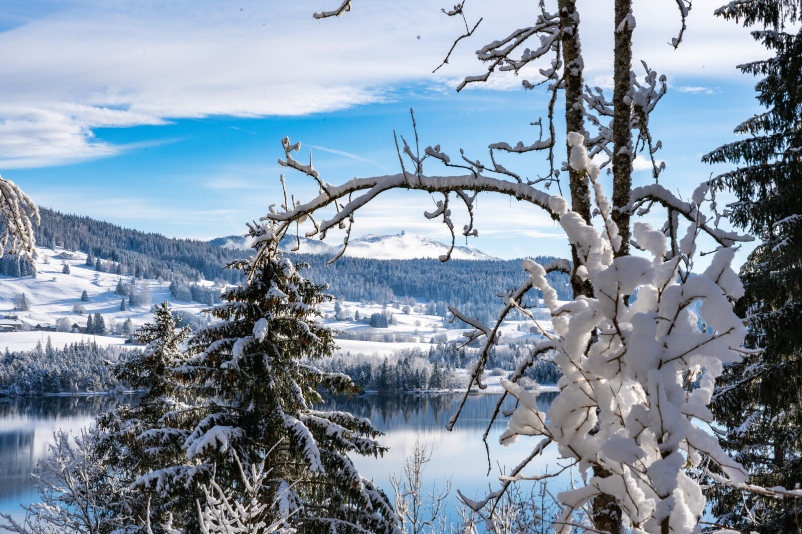 Paysage incontournable des montagnes du jura