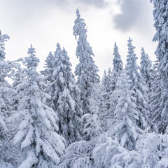 La Station des Rousses en hiver