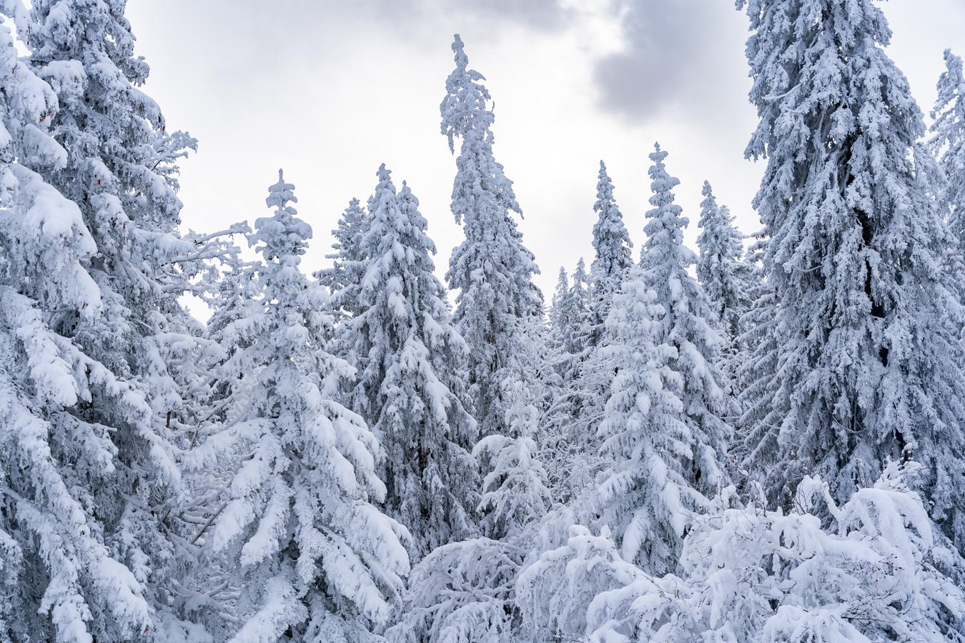 La Station des Rousses en hiver